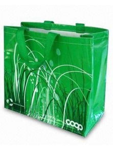 無(wú)紡布袋價(jià)格與供應(yīng)商解析 以雄縣泰祥無(wú)紡布包裝制品廠為例