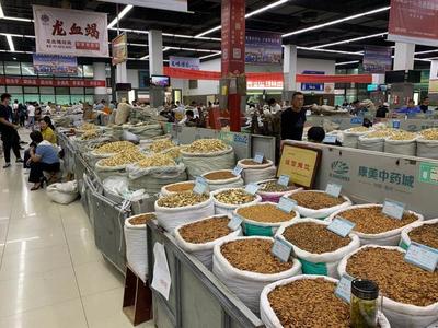 中部崛起勢正勁 安徽亳州如何“抓一把中藥，服下一帖驕傲”？——從傳統藥都到現代商品批發貿易中心的轉型之路